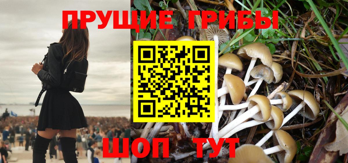 Галлюциногенные грибы Psilocybine cubensis  Вход с VPN  Галлюциногенные грибы мицелий  Орск 